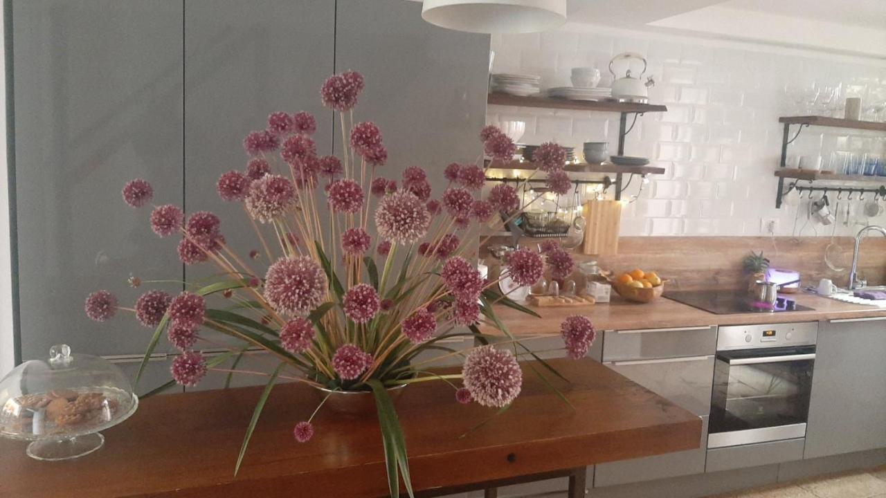 Casa 39 Apartments Rovinj Zewnętrze zdjęcie