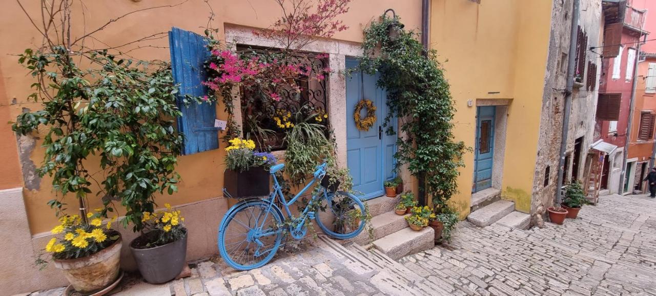 Casa 39 Apartments Rovinj Zewnętrze zdjęcie