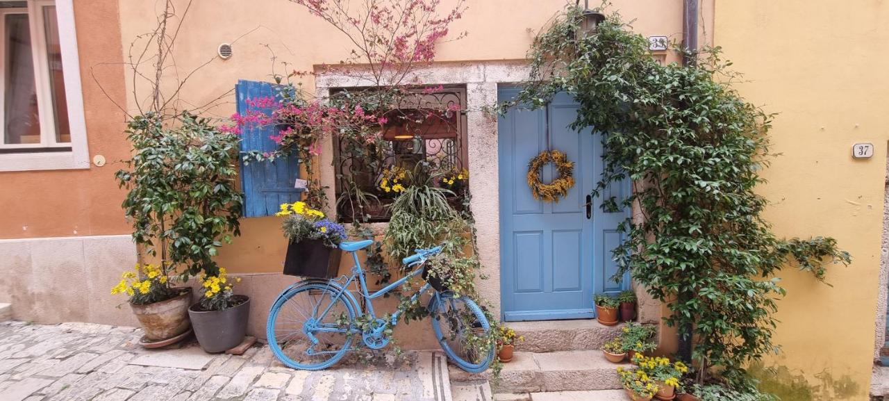 Casa 39 Apartments Rovinj Zewnętrze zdjęcie