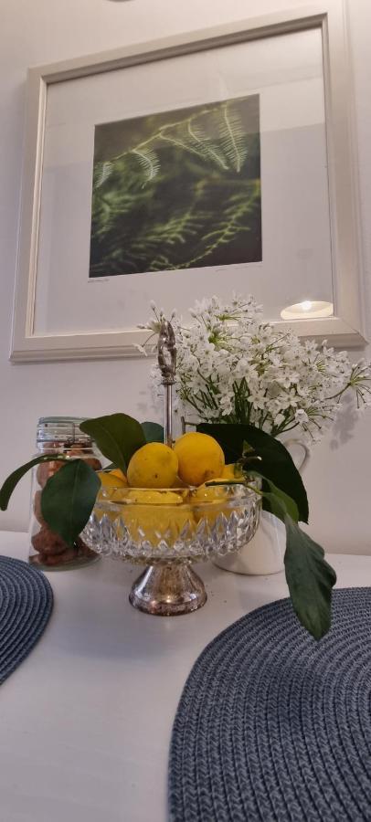 Casa 39 Apartments Rovinj Zewnętrze zdjęcie
