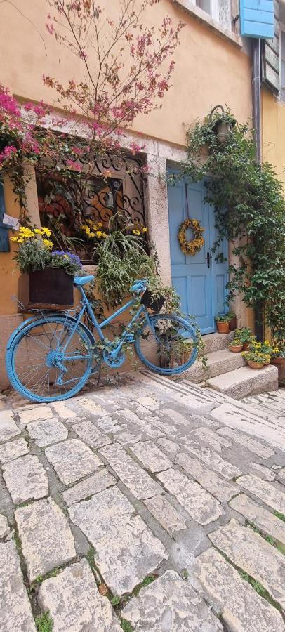 Casa 39 Apartments Rovinj Zewnętrze zdjęcie